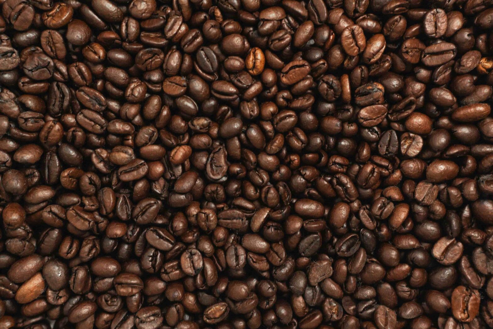 Why we love getting roasted.